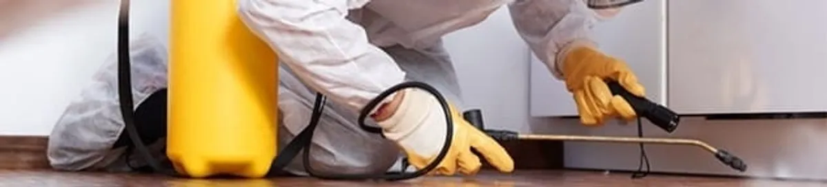 Roach exterminator treating cracks and crevices along kitchen baseboards in Portland, OR