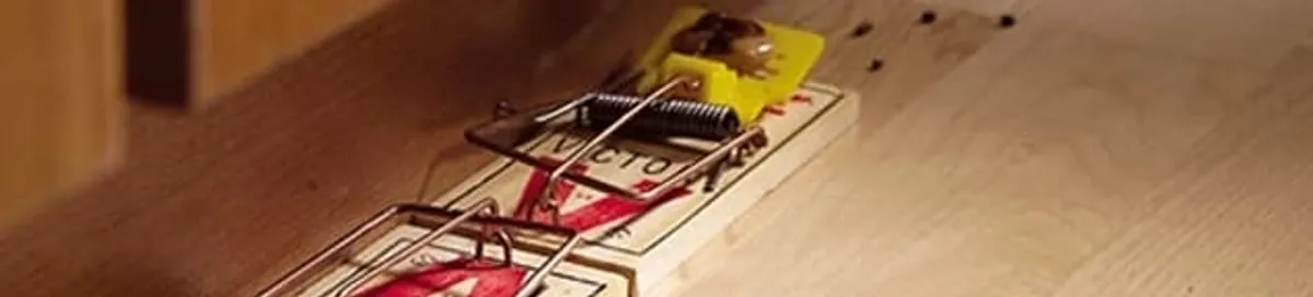 Rodent trap set indoors for rodent control and prevention in Portland, OR
