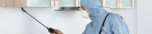 Termite treatment technician applying indoor pest control spray in Portland, OR
